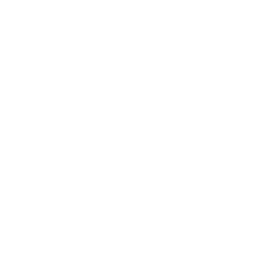 internet (1)